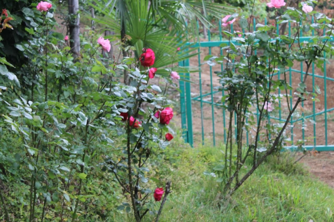 Гостевой дом Villa Tengiz Ch'ak'vist'avi-31