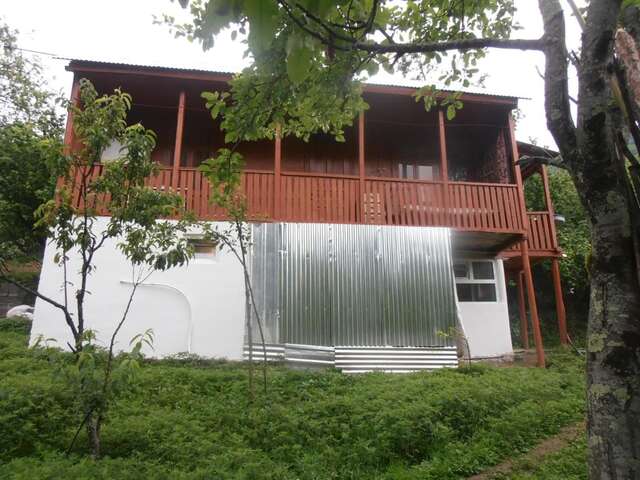 Гостевой дом Villa Tengiz Ch'ak'vist'avi-5