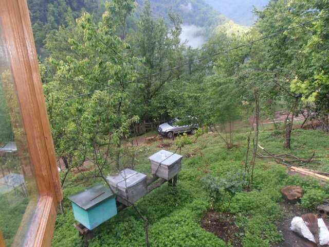 Гостевой дом Villa Tengiz Ch'ak'vist'avi-33