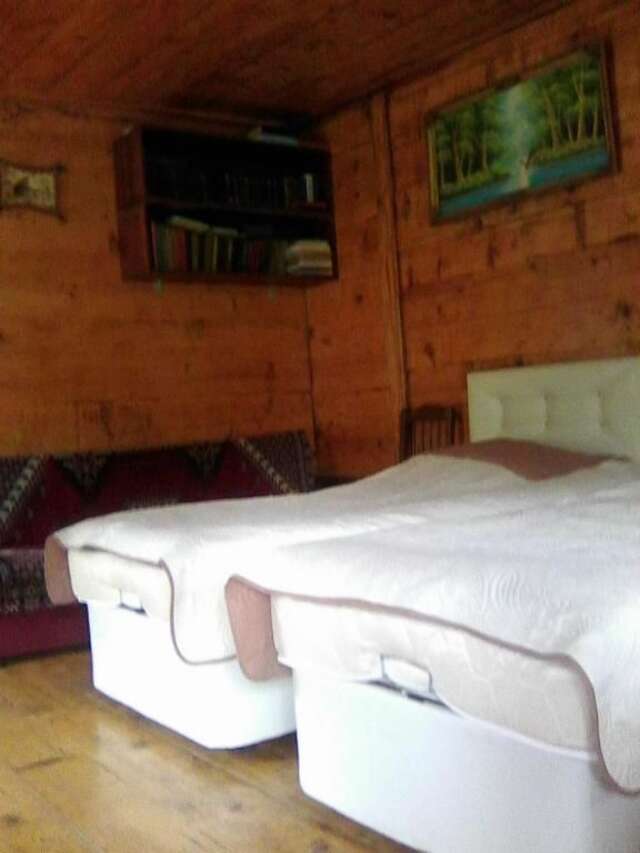 Гостевой дом Villa Tengiz Ch'ak'vist'avi-42